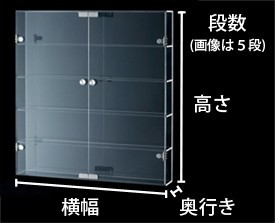 コレクションケース サイズ