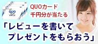 レビュープレゼント